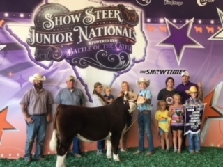 Ryder Day Battle of the Cattle
