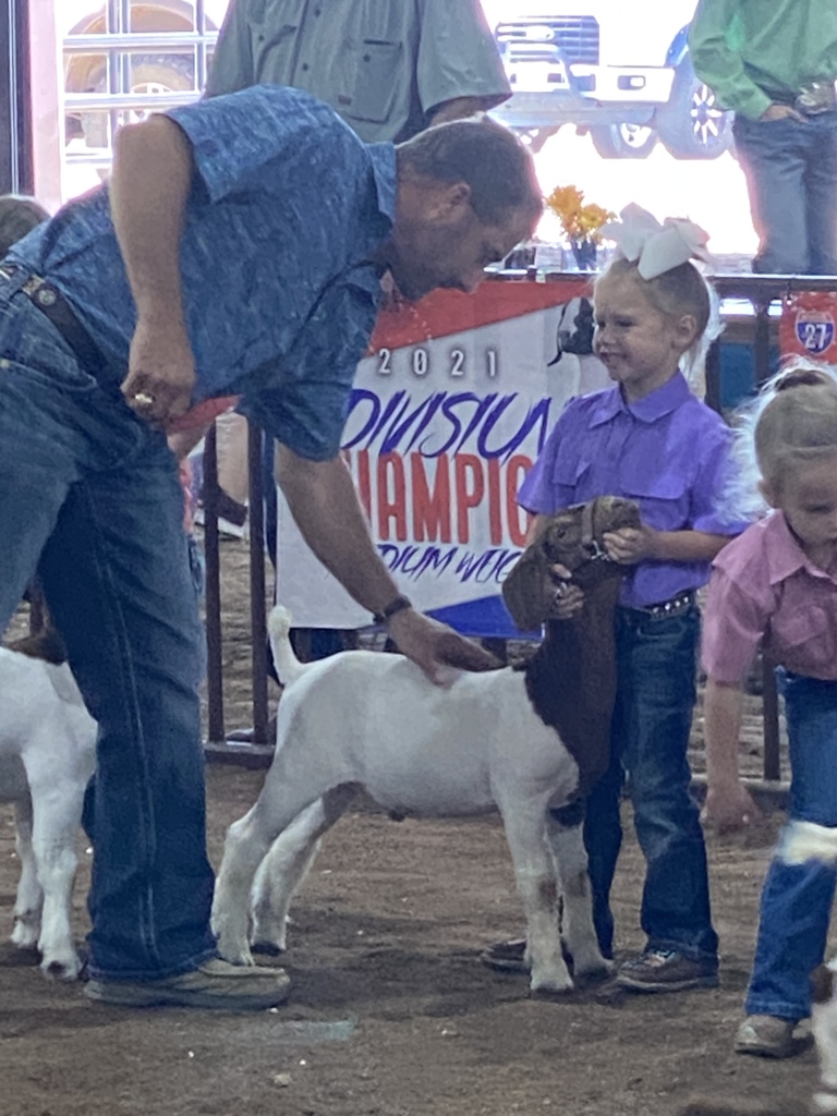 Sadie I27 expo