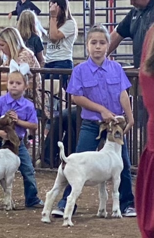 Haylee I27 expo