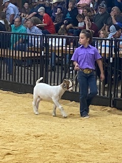 South Plains Fair