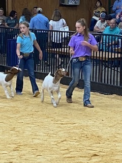 South Plains Fair