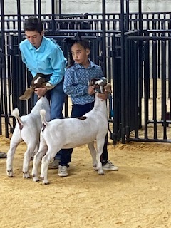 South Plains Fair