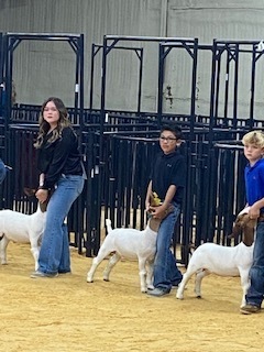 South Plains Fair