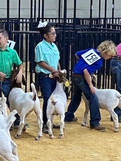 South Plains Fair