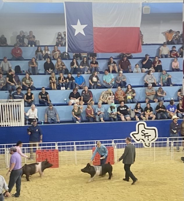 State Fair