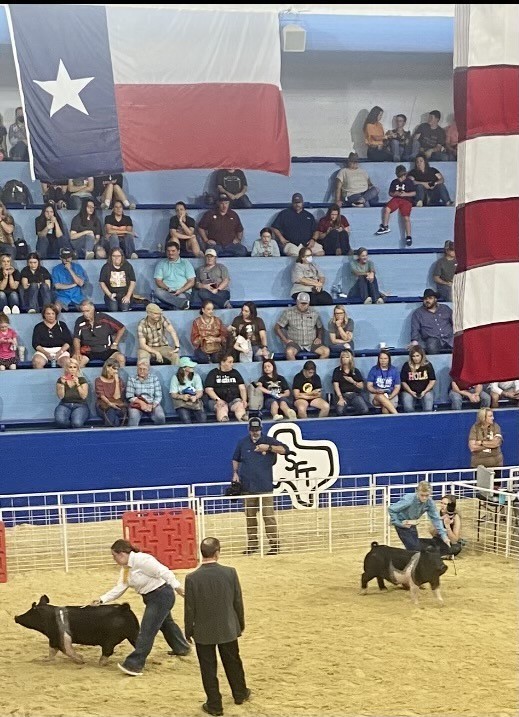 State Fair