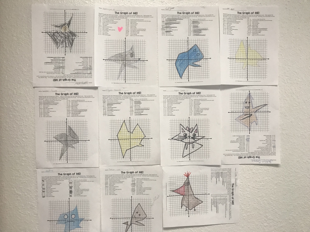 "The Graph of Me" -8th grade math 